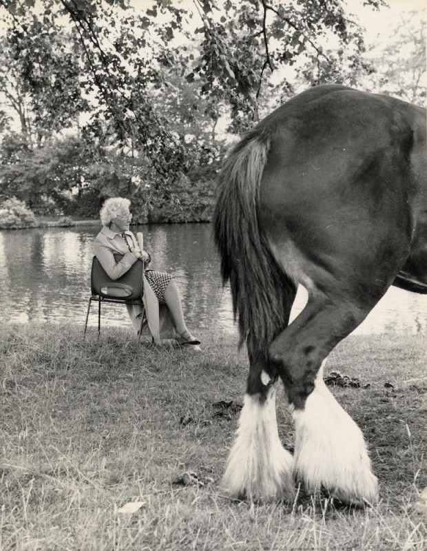 3_Shirley Baker, Untitled (Woman and Horse), 1968