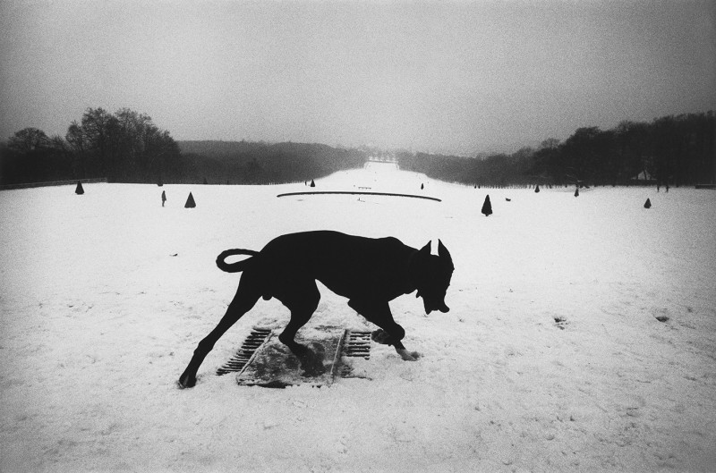 1_Parc de Sceaux, France, 1987 © Josef Koudelka - Magnum Photos