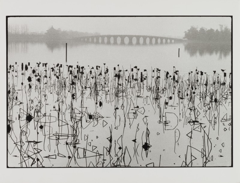 Rene Burri_Fleurs de lotus sechees sur lac de Kunmiung_Chine_1964 (C) Rene Burri_Magnum Photos_Fondation Rene Burri_Musee Elysee
