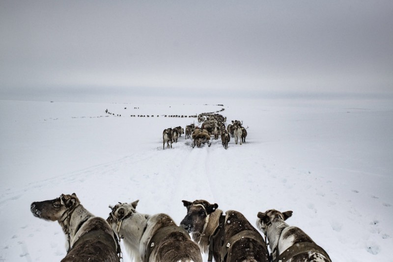 Yamal Peninsula, April 2018 © Yuri Kozyrev _ NOOR for Fondation Carmignac