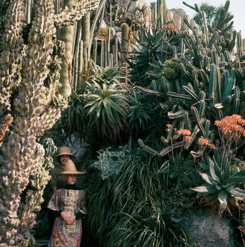 Florette-et-Stéphanie,-jardin-exotique,-Monaco,-13-avril-1964-Photographie-J.H.-Lartigue-©-Ministère-de-la-Culture-France_web