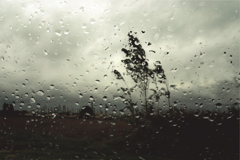 Kiarostami_Ohne Titel_Rain and Wind