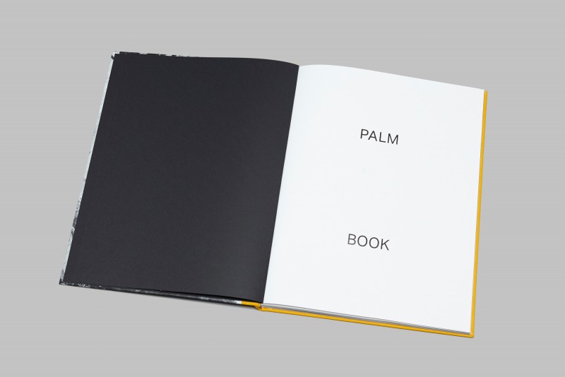Palm_Book_Title