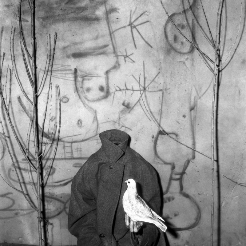 Headless_2006_copyright Roger Ballen_courtesy Galerie Karsten Greve_St. Moritz