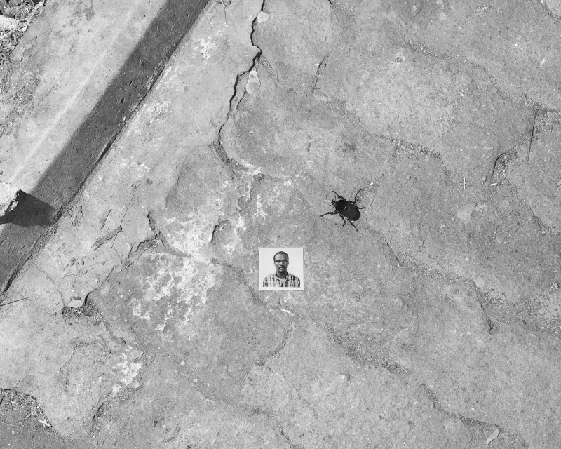 Durst_01_Portrait_with_Beetle