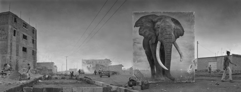 ROAD-WITH-ELEPHANT-4000px