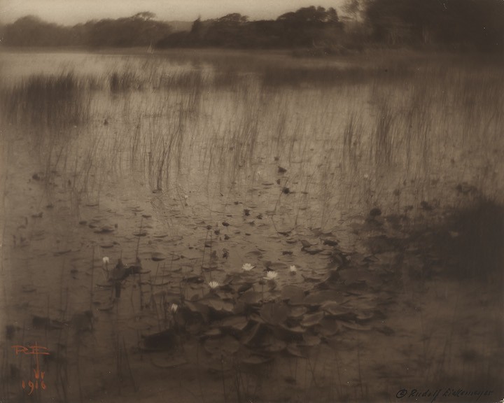 06. The Lily Pond_Eickemeyer