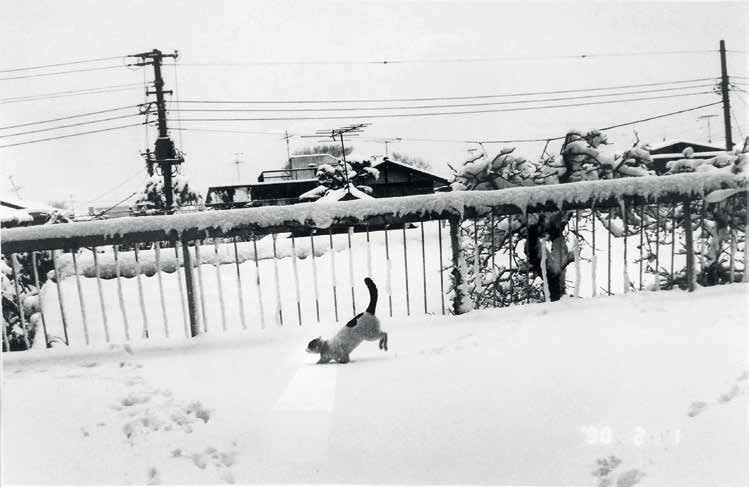 Chiro in the Snow, 1991