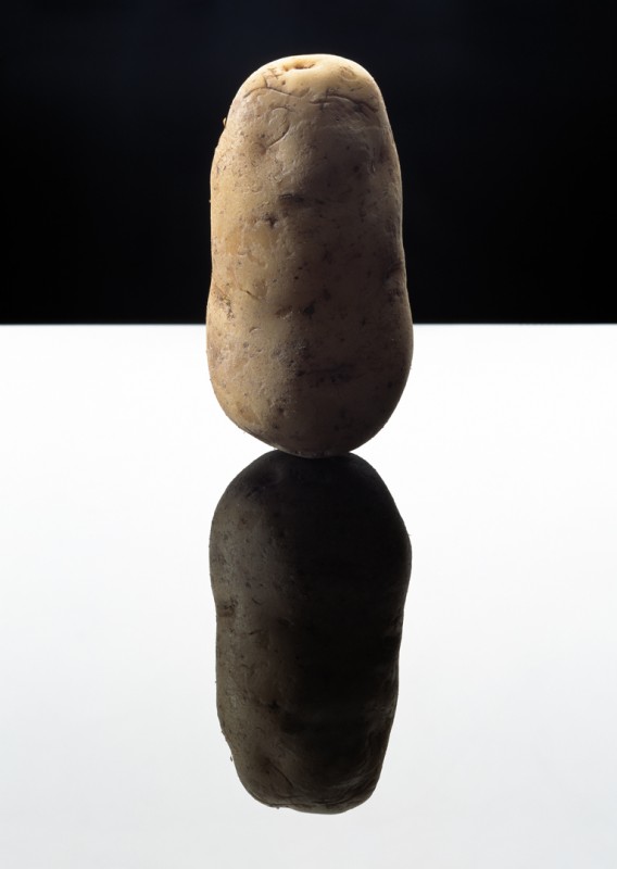 potato, 2003 © anuschka blommers en niels schumm