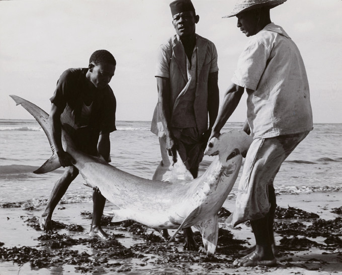 Schulthess_Afrika_2010.93.234