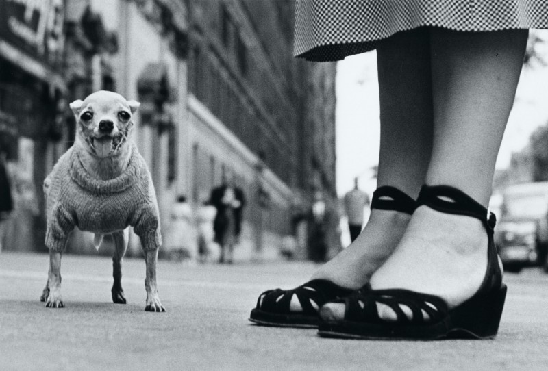 01 New York City, USA 1946 © Elliott Erwitt_MAGNUM PHOTOS