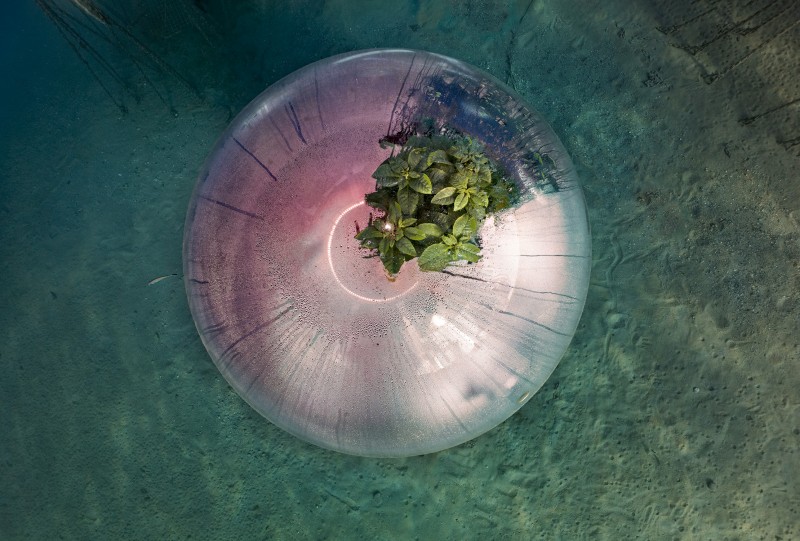 01_AB_Biosphere underwater farming _3, Italia, 2021 © Luca Locatelli