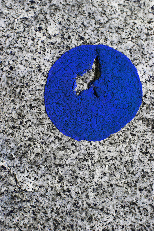 blue_note_2015