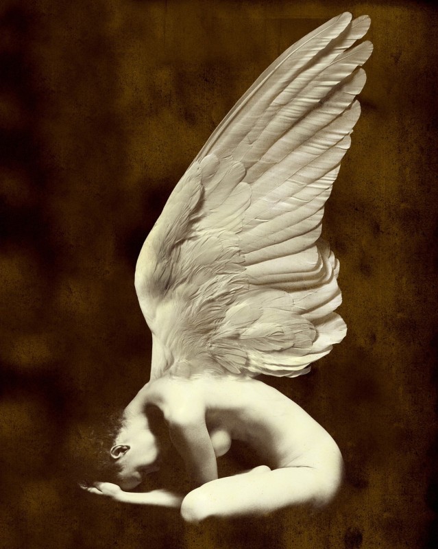 Untitled (Angel 1), 2015 copyright Giovanni Gastel  Imgae Service srl