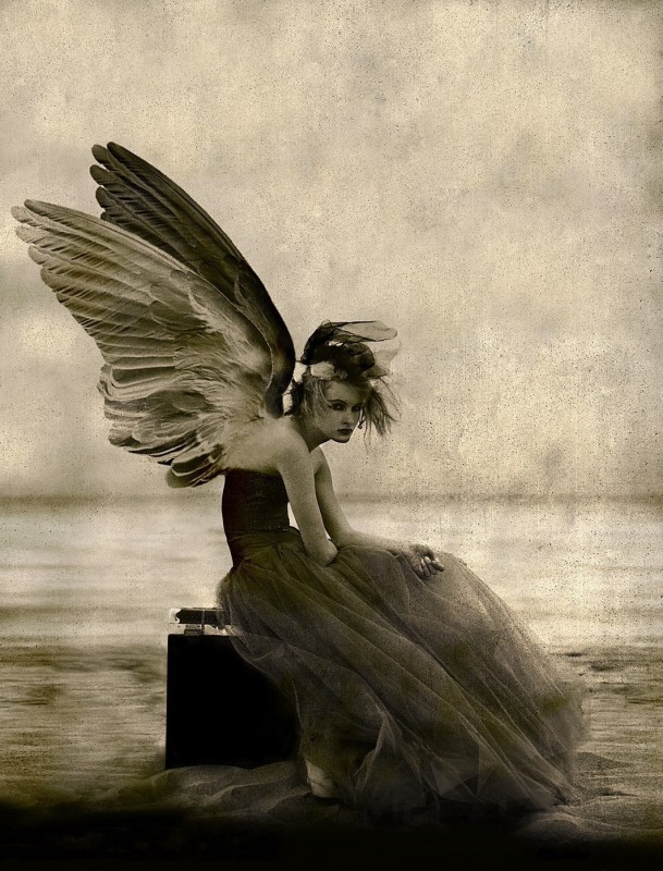 Untitled (Angel 4), 2015 copyright Giovanni Gastel  Image Service srl