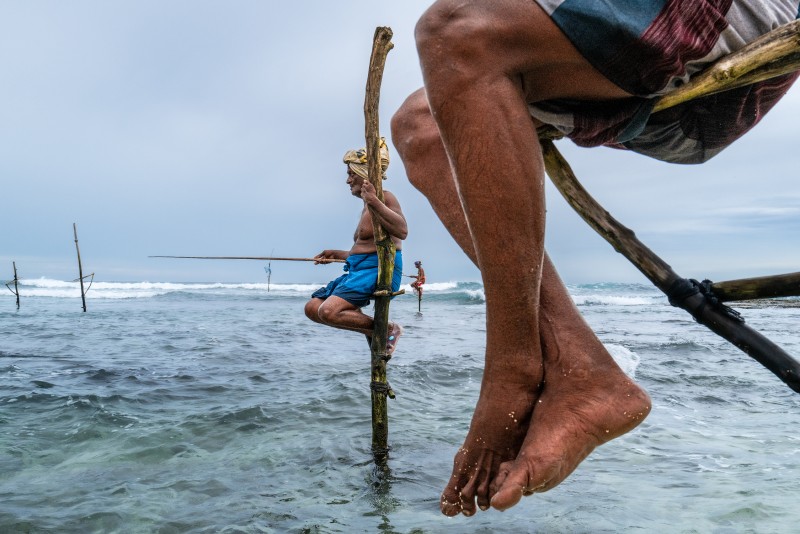 Ali-Khataw---Sri-Lanka-Stilt-Fishermen1