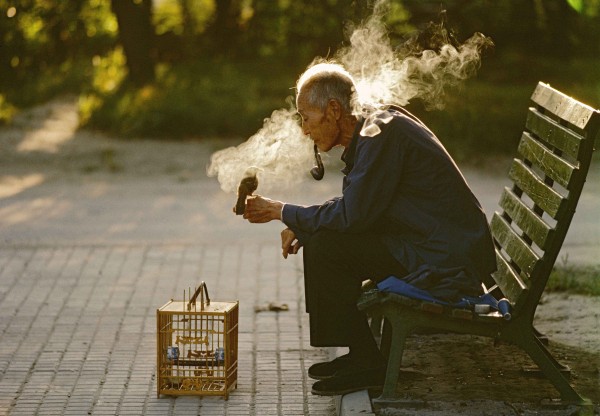 Thomas Hoepker, Old man with his pet bird in Ritan Park, Beijing, China, 1984, (c) Thomas Hoepker, Magnum Photos