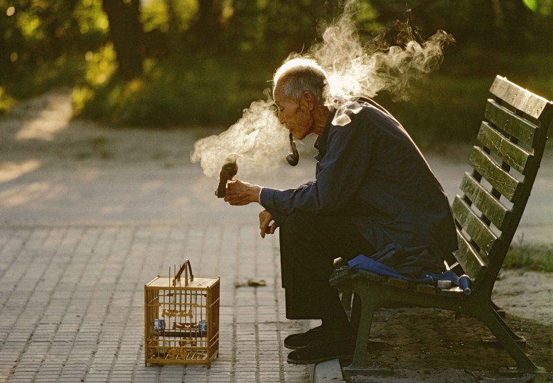 Thomas Hoepker, Old man with his pet bird in Ritan Park, Beijing, China, 1984, (c) Thomas Hoepker, Magnum Photos