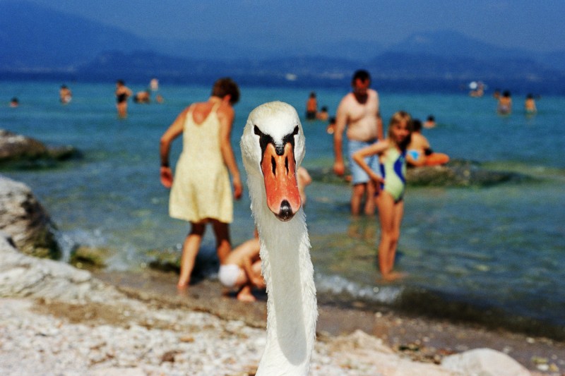 Lake Garda, Italy, 1999