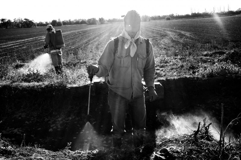 © Pablo Ernesto Piovano_Press02