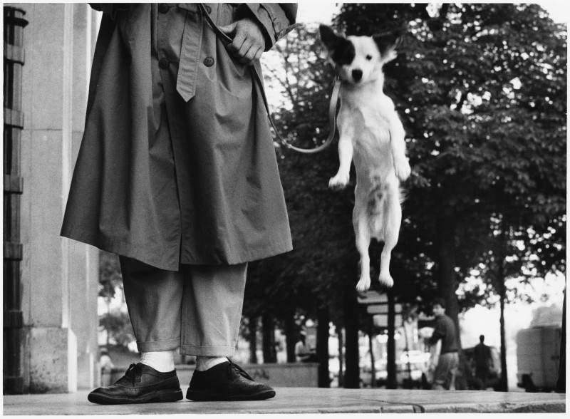 Elliott-Erwitt_Paris. 1989