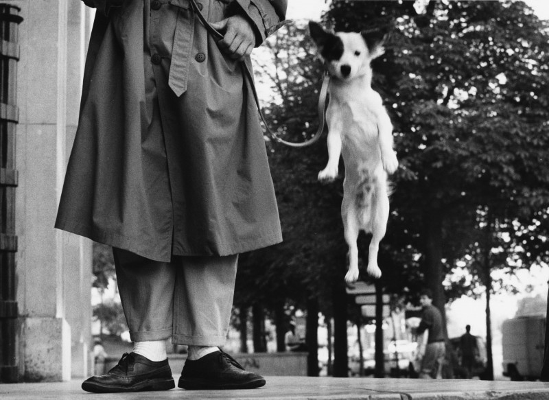 Elliott-Erwitt_Paris. 1989