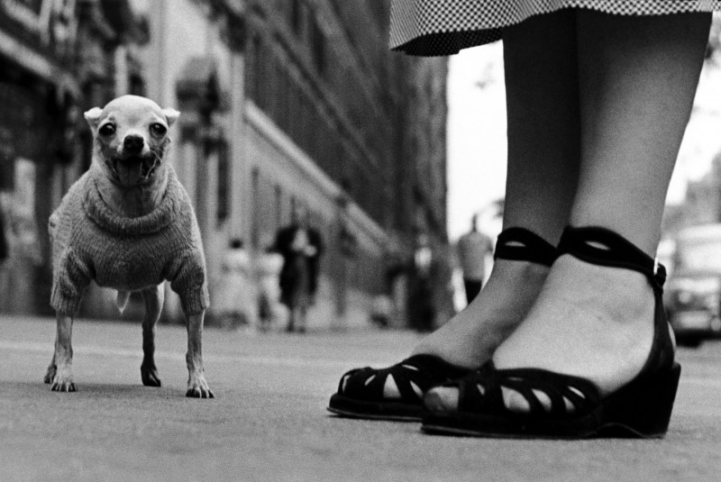 1_Elliott Erwitt, USA, NYC, 1946, © Elliott Erwitt_Magnum Photos