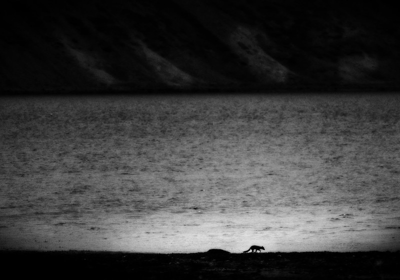 MA_230728_L1010774_sv