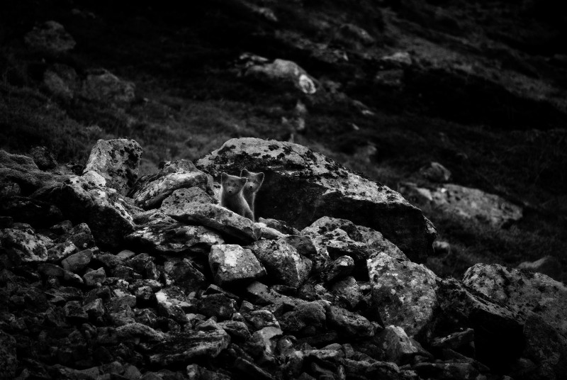 MA_240728_L1010601_sv