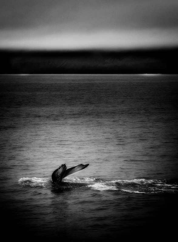 MA_240730_L1010925_sv